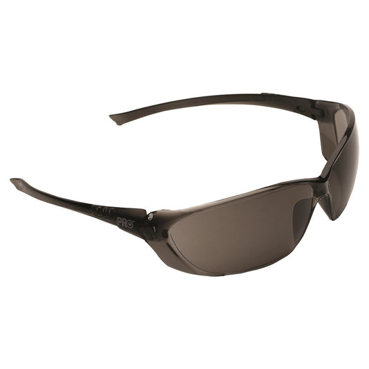 RICHTER SAFETY GLASSES Smoke PK 12